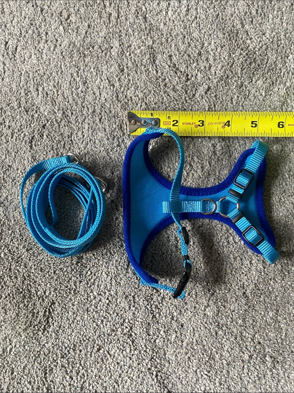 Blue Padded Dog Harness with Matching Leash